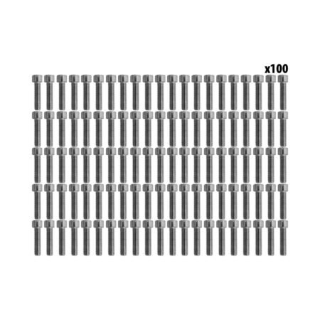 Vis BTR roue Ar Dualtron Mini (x100 pcs)