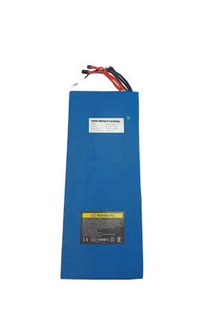 DUALTRON VICTOR & VICTOR LUXURY & SPIDER MAX | BATTERIE 60V30AH
