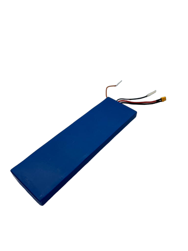 DUALTRON TOGO PLUS | BATTERIE 48V12AH