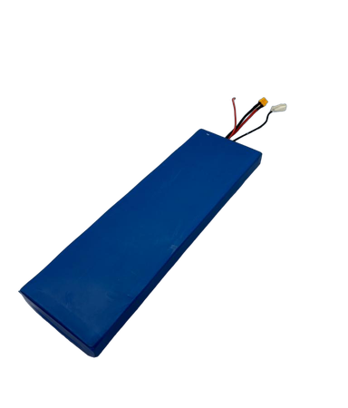 DUALTRON TOGO PLUS | BATTERIE 48V15AH