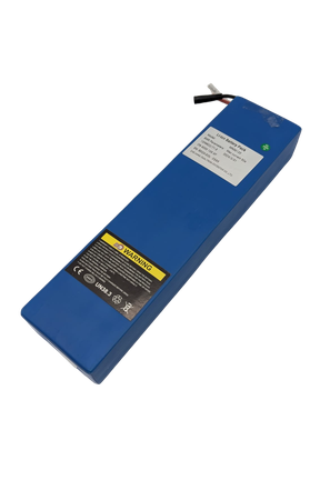DUALTRON DOLPHIN | BATTERIE 36V12AH