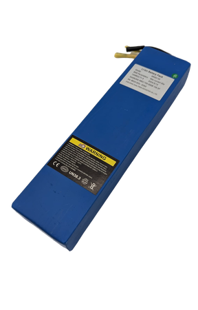 DUALTRON DOLPHIN | BATTERIE 36V15AH