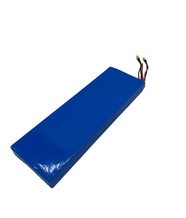 DUALTRON AMINIA DUAL MOTOR | BATTERIE 52V21AH