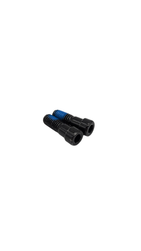 DUALTRON POP | VIS FOURCHE DE SUSPENSION M8X22 V2 (x2)