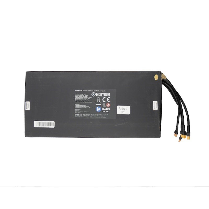 Batterie Storm Lithium Ion 60V 20,8Ah