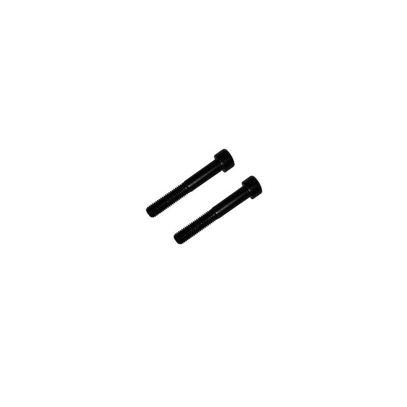 Boulons de fixation (suspension arrière au châssis) (x2)