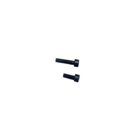 Lot de vis de Clignotant XR