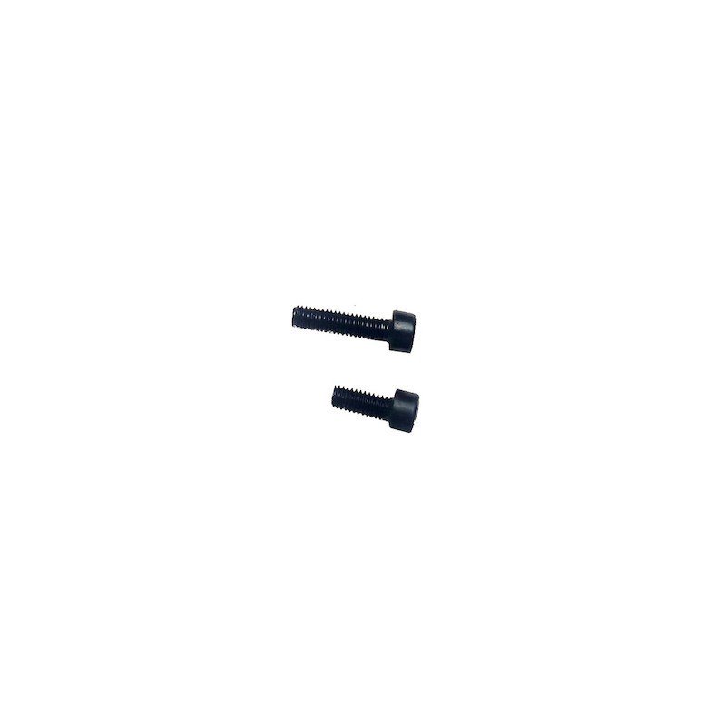 Lot de vis de Clignotant XR