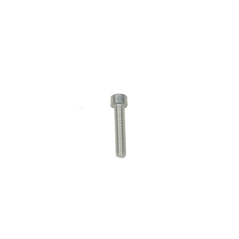 Vis Inox en M5x25mm (x1)