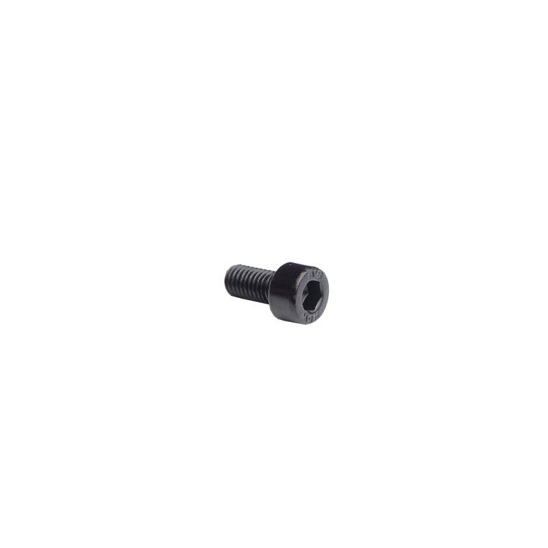 Vis sous châssis M6x10mm (x1)
