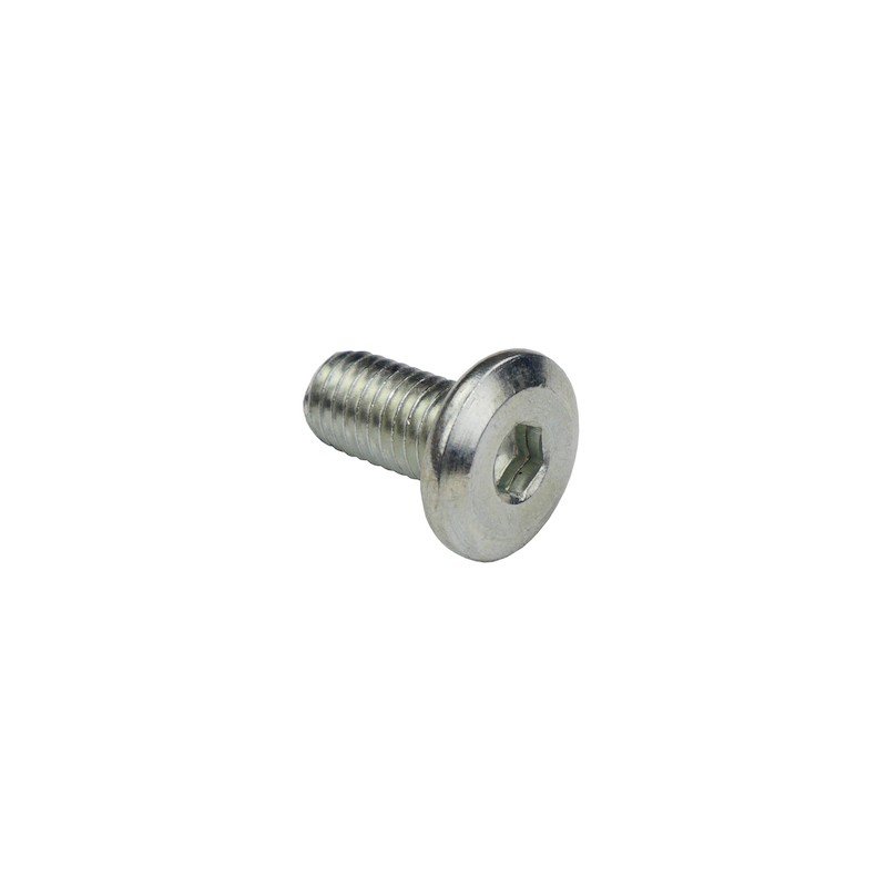 Vis tête plate hexagonal creux M8 en Inox
